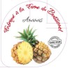 Opercules BUISSONET ALU 68.3 ANANAS 5 CL