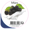 Opercule EARL GUERET 68.3 ALU Mûre 5cl scel PP/PS/PET gr.Vermisseau