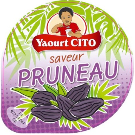 Opercules 2 SMYC 68.3 ALU PRUNEAU 5 coul.