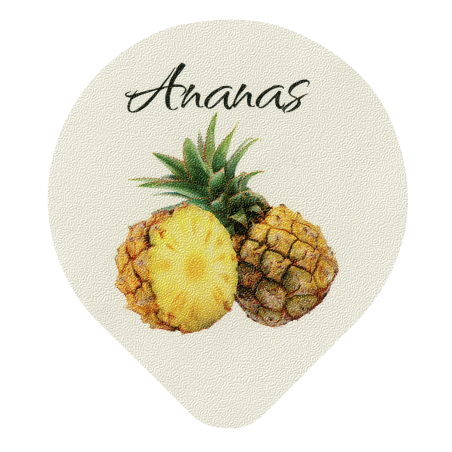 Opercules Ø68.3mm Aluminium imprimés Gamme Délice ananas