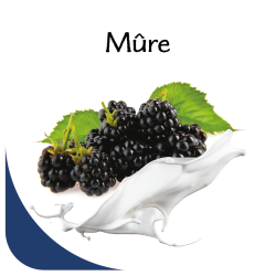 Opercules Ø68.3mm Aluminum imprimés Gourmandise Mûre