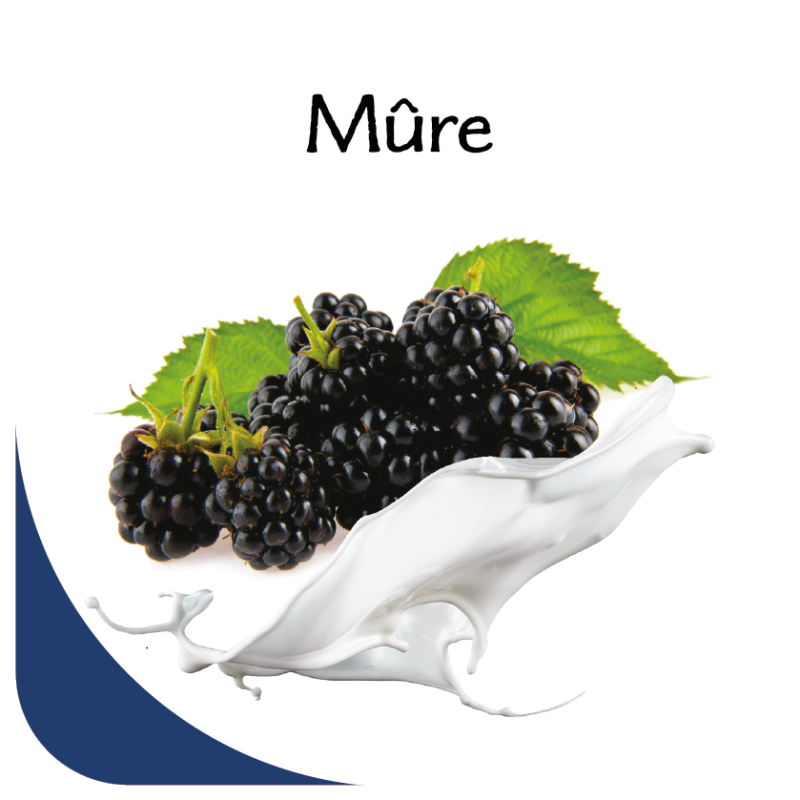 Opercules Ø68.3mm Aluminum imprimés Gourmandise Mûre