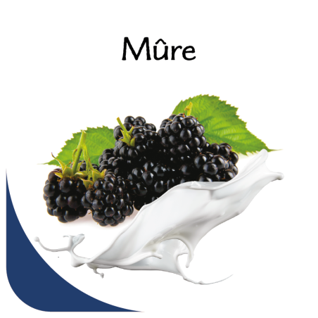 Opercules Ø68.3mm Aluminum imprimés Gourmandise Mûre